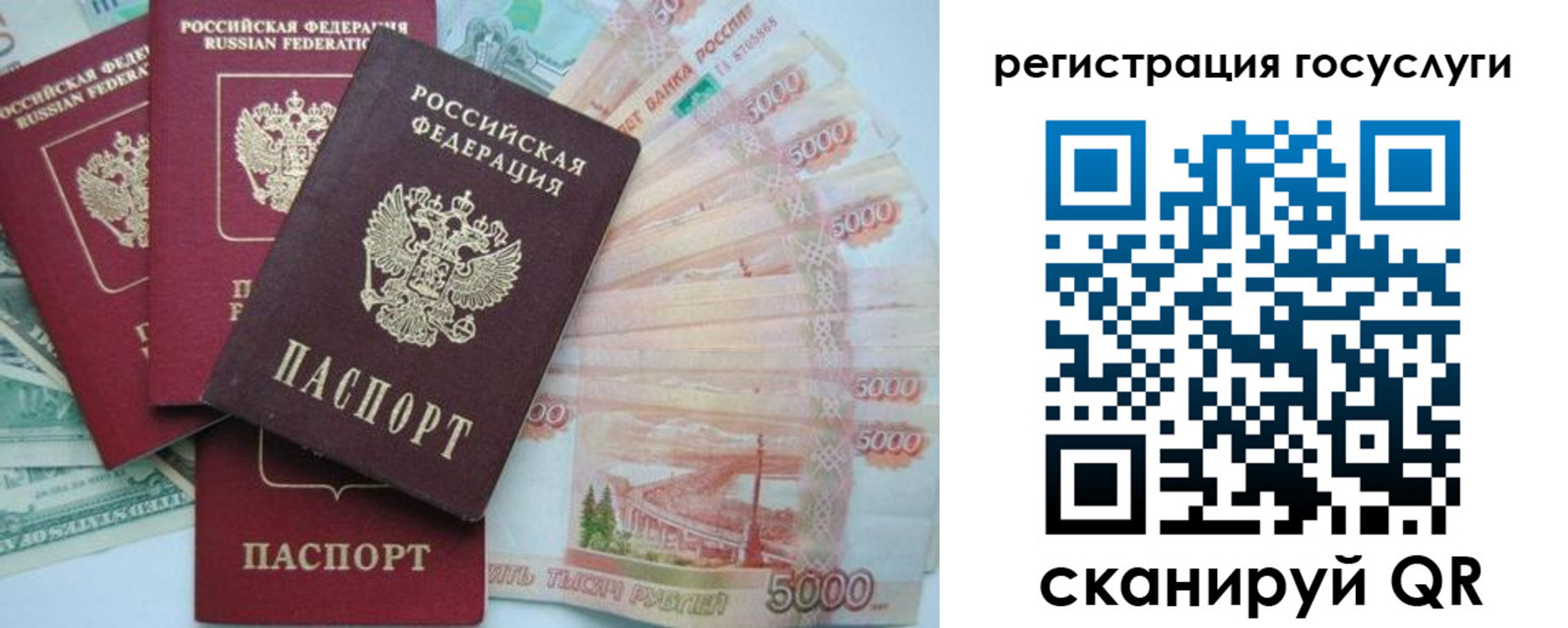 прописка иностранных граждан в Коле
